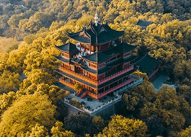 鹿鸣轩茶园首页设计