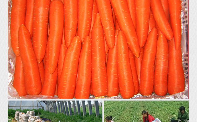 胡萝卜汁详情页设计